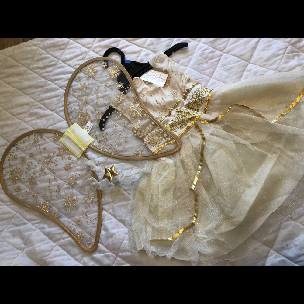 Fairy dress, Halloween costume